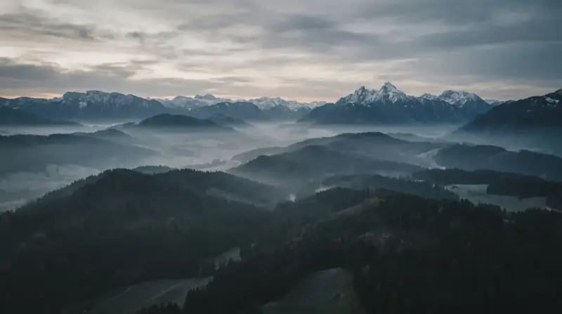 Voralpenlandschaft mit Wald und Wiesen