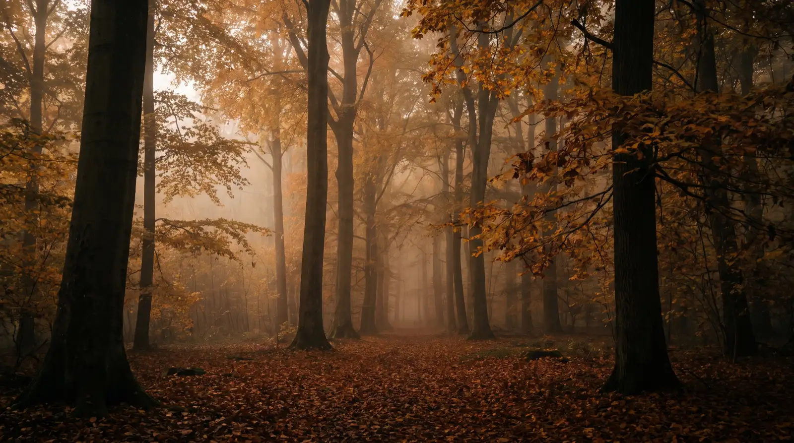 Jagdliche Landschaft im Herbst