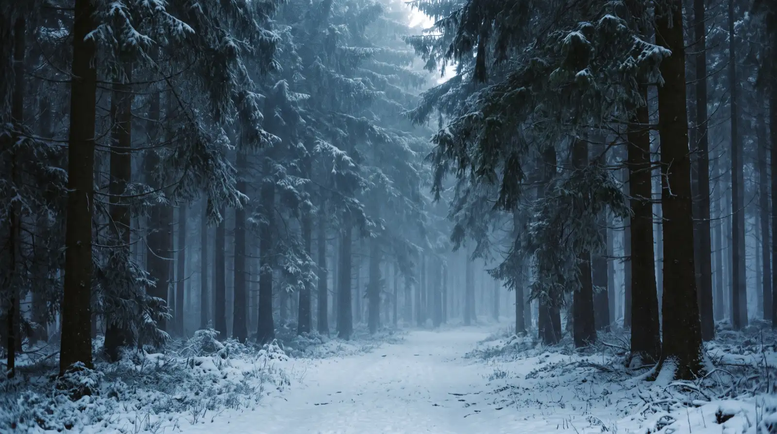 Jagdliche Landschaft im Winter